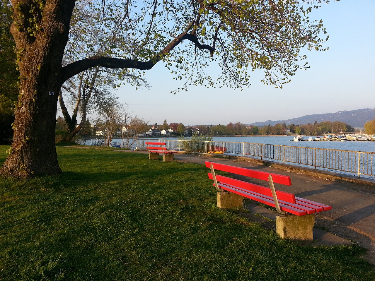 对于李磊而 对于李磊而